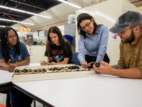 Students Naisha Napoleon, Mia Keriazes and Preston Ballard studying Eastern Towhees with Dr. Glau Del-Rio